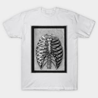 ribcage T-Shirt